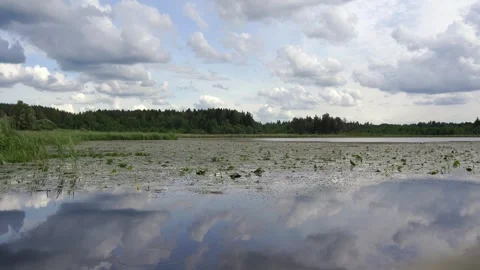 Summer day on the lake Stock Footage 278517396