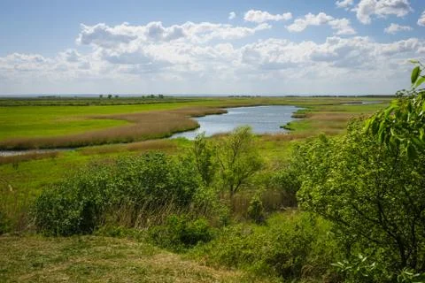 Summer day, landscape. Stock Photos