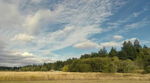 Summer Day with Layers of Passing Clouds Overhead Stock Footage 62579497