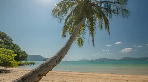 Summer day paradise palm beach panorama hd phuket thailand Stock Footage 64565645
