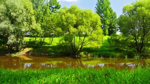 Summer day in a park. Vidéo 27873283
