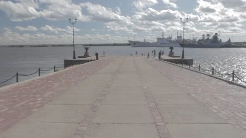 Summer day on pear 動画素材 101606161