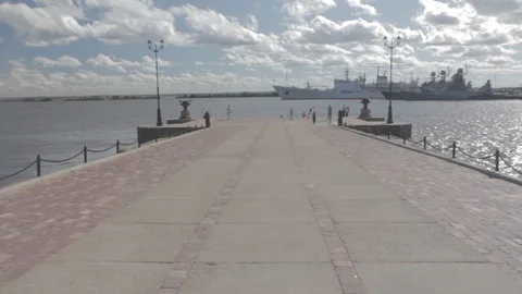 Summer day on pear 動画素材 101606198