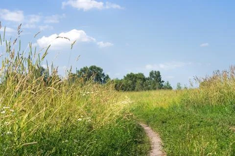 Summer day Foto stock
