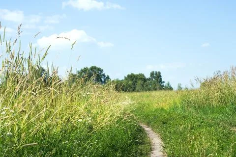Summer day 写真素材