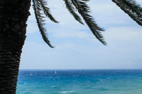 Summer day Stock Photos