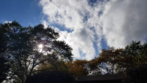 Summer day with pretty clouds Stock Footage 96676507