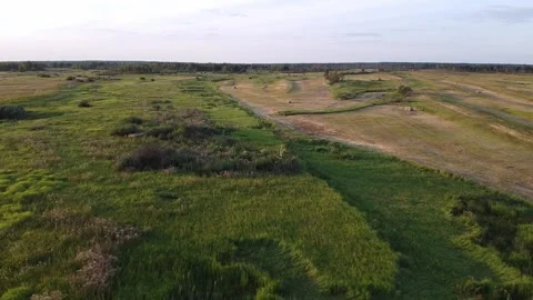 On a summer day, a quadcopter flies over the field along the clearing road Stock Footage 139768148