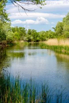 Summer day on river Stock Photos