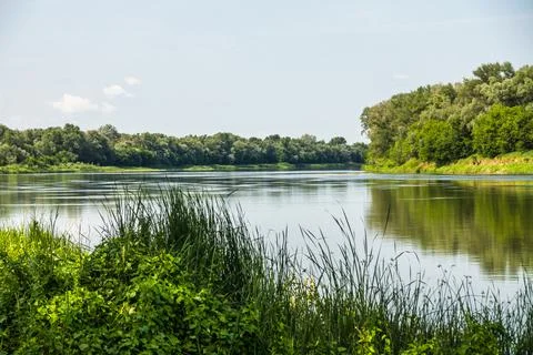 Summer day on the river Stock Photos
