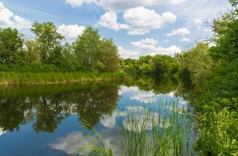 Summer day on river Stock Photos