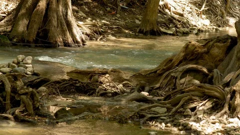 A summer day River by the trees. 動画素材 94396135