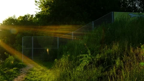 Summer day, sunset on the river. insects, flies in the air, beautiful sunset Video stock 278101734