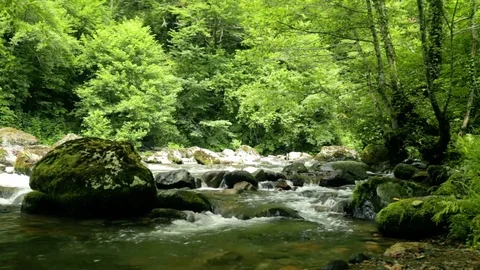 Summer day. Trekking along the mountain river. Stock Footage