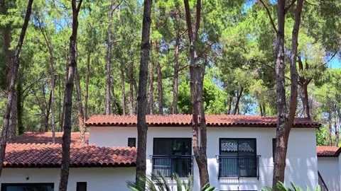 Summer day, view on bright sun and houses. Cottage settlement on sea coastline. Stock-Footage 313729130