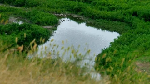 Summer, day, view from the hill to the river with grass in the foreground. Video stock 106857283