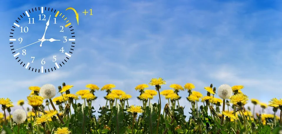 Summer Daylight Saving Time (DST). Blue sky with yellow dandelions. Turn time Stock Photos