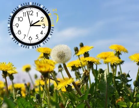 Summer Daylight Saving Time (DST). Blue sky with yellow dandelions. Turn time Foto stock