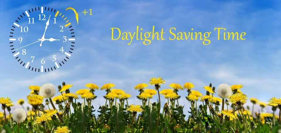 Summer Daylight Saving Time (DST). Blue sky with yellow dandelions. Turn time Stock Photos