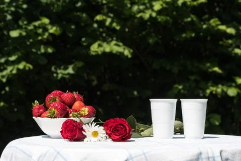 Summer decorated table Stock Photos