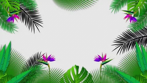 Summer Decorative Frame Loop with Alpha Channel for Video Overlay Stock Footage 333029656