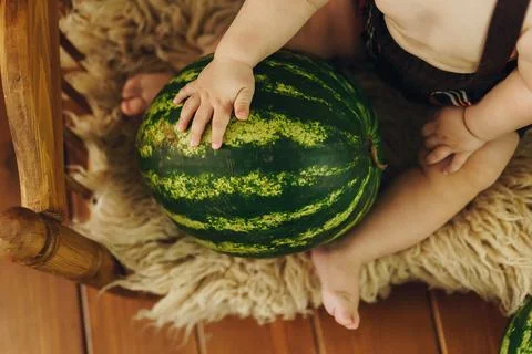 Summer Delight Stock Photos