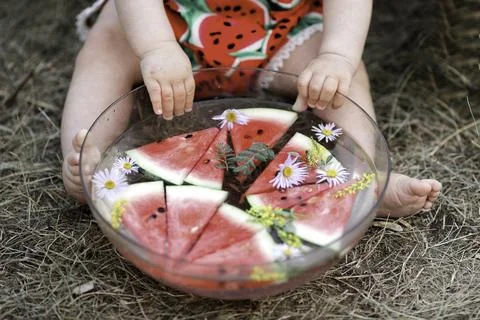 Summer Delight 스톡 사진