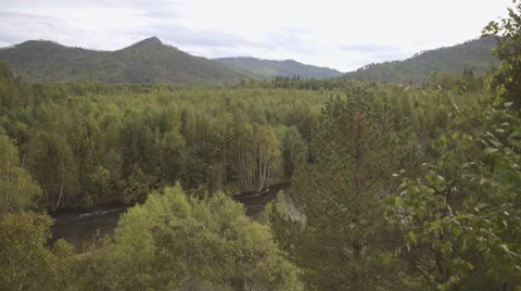 Summer dense forest, wild river and low mountains form beautiful landscape Stock Footage 64581626