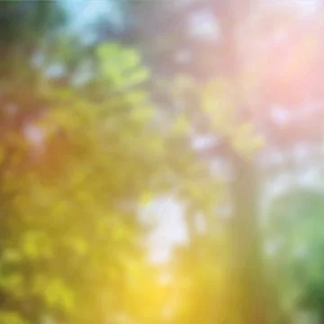 Summer design, forest trees, nature green wood sunlight background. Vector Stock Illustration