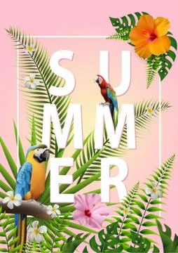 Summer Design17 イラスト素材
