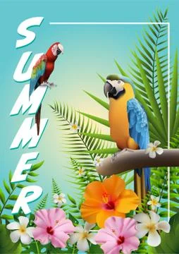 Summer Design18 Stock Illustration