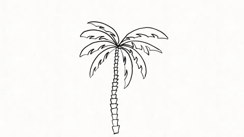 Summer doodle animation Stock Footage 220356692