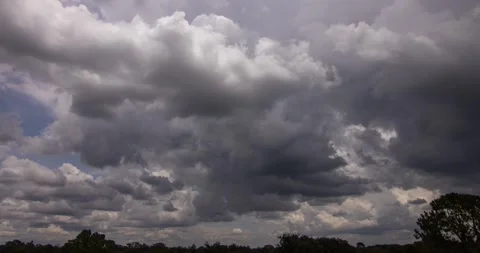 Summer Downpour (3240p 60fps) Stock Footage 245372263