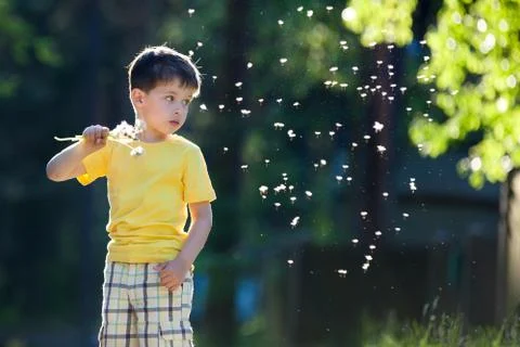 Summer dreams Stock Photos