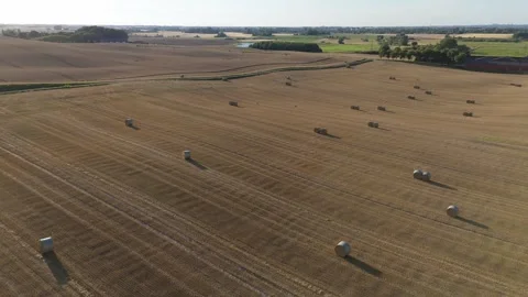 Summer drone footage of striped fields and hay bales in Skåne countryside Stock Footage 341517110