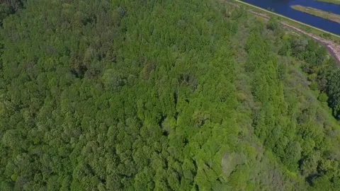 Summer drone view of Augustow Canal, Belarus Vidéo 139213848