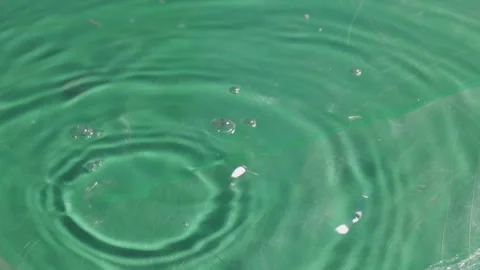 Summer drops on abstract background Video stock 274859944