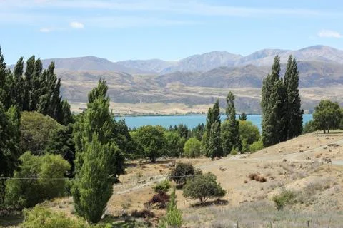 Summer drought Fotos de archivo