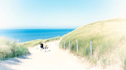 Summer Dunes Stock Photos