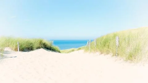 Summer Dunes Stock Photos