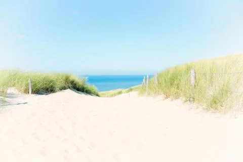 Summer Dunes Stock Photos