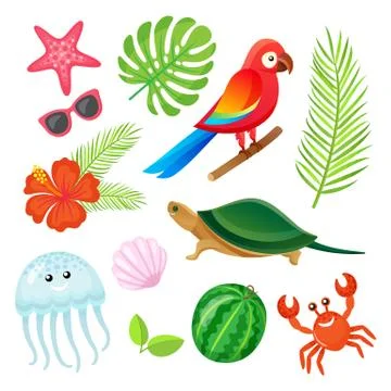 Summer Elements, Plants and Animals Objects Vector 스톡 일러스트