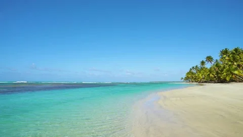 Summer on empty palm beach and clear seawater 4k landscape. Maldives beach Stock Footage 151762964