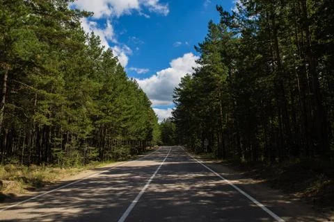 Summer empty road going through the pinery in Burabai Nature National park Stock Photos