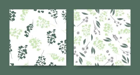 Summer Eucalyptus Pattern. Nature Foliage Texture. Tropical Fabric Design. Stock Illustration
