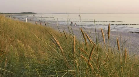 Summer Evening at the Beach Stockbeeldmateriaal 12392067