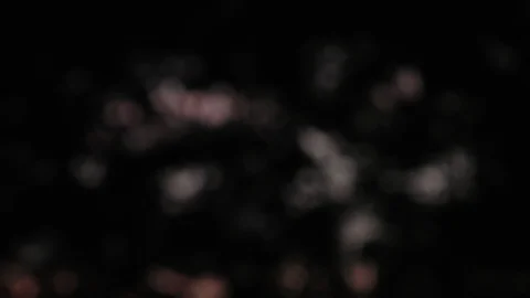 Summer evening bokeh light flares dark background zoomin Stock Footage 88918491