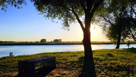 Summer evening in a country park Stock Footage 247675475