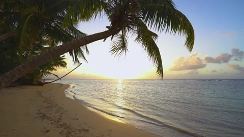 Summer evening on the Cuban beach against the backdrop of the sea sunset.  Stock Footage 201922232