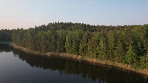 Summer evening flight from lake to a hilltop Stock Footage 244700534
